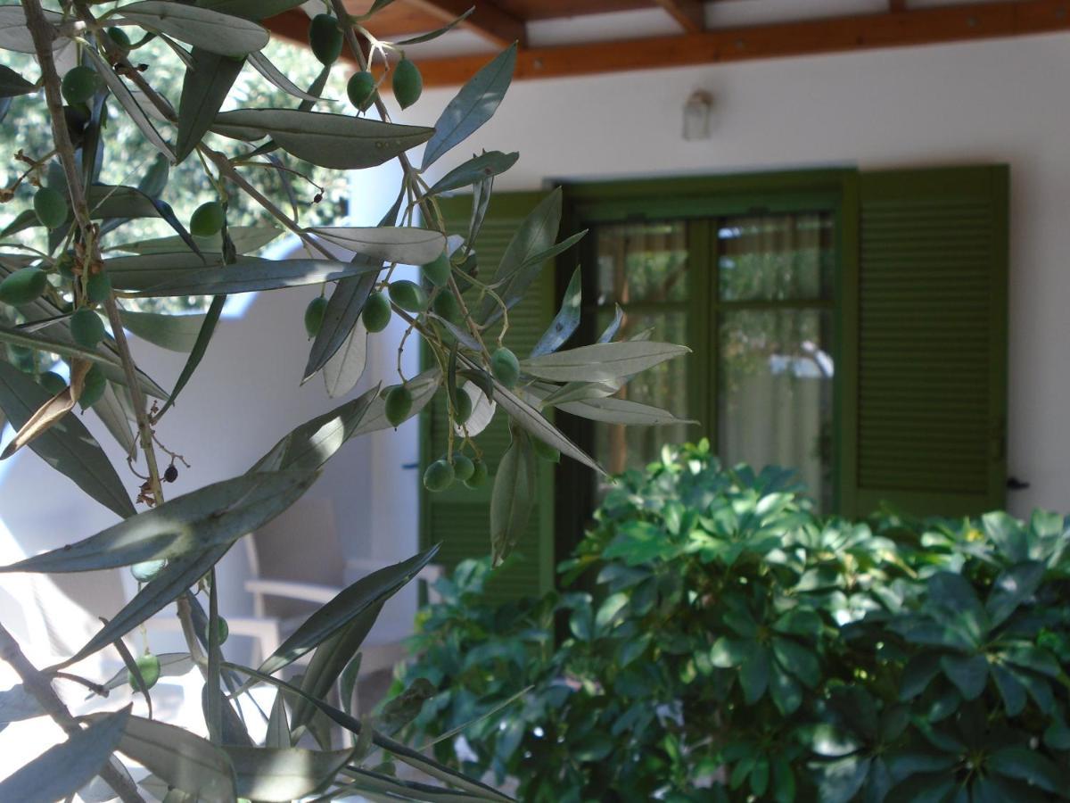 Leros Eleonas Apartments Alinda  Exterior photo