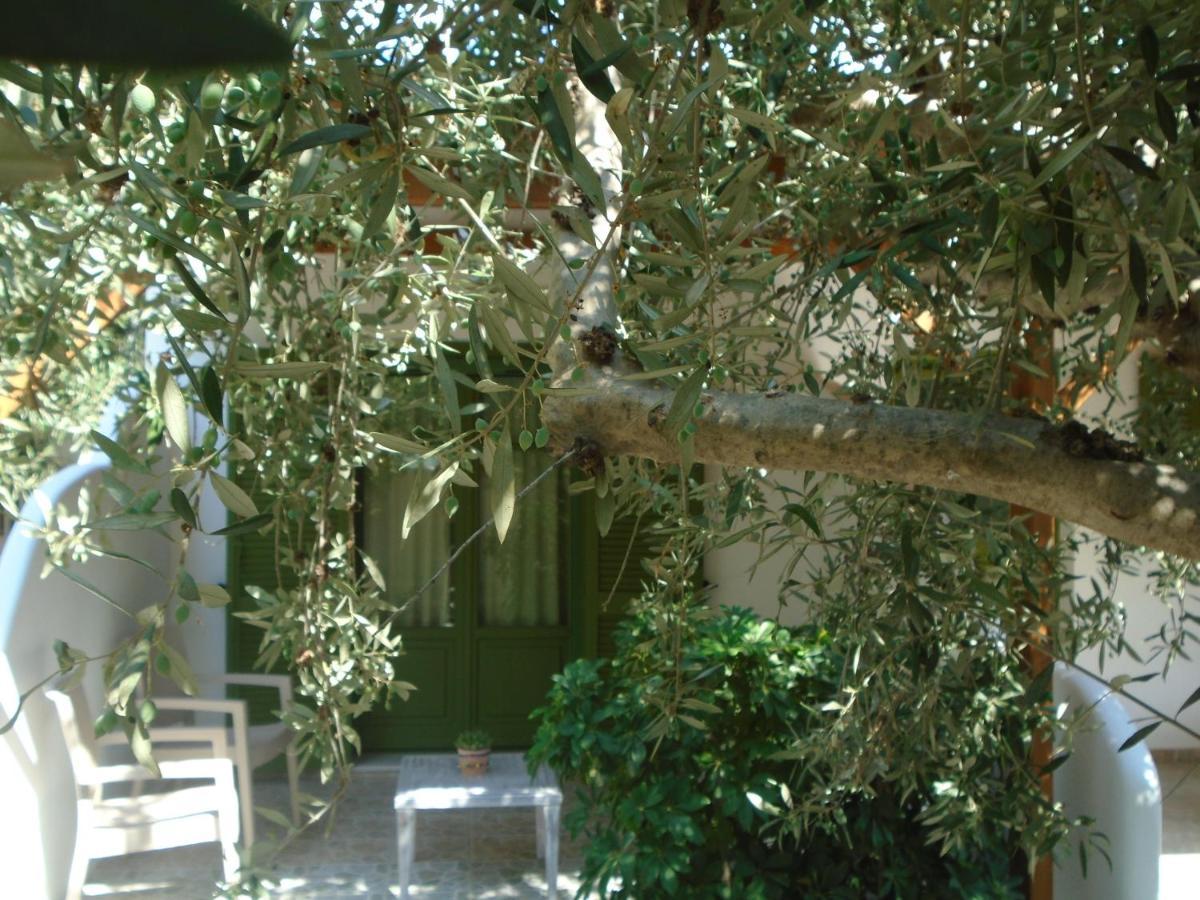 Leros Eleonas Apartments Alinda  Exterior photo