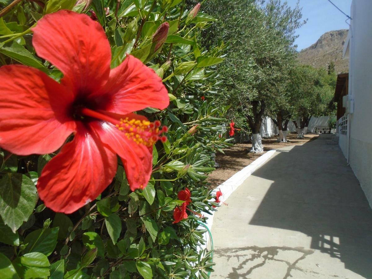Leros Eleonas Apartments Alinda  Exterior photo